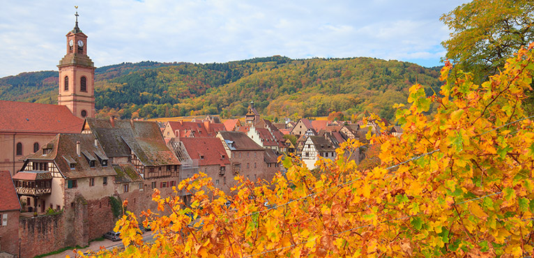 766x371-alsace_gwurztraminer