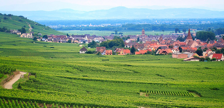 766x371-cremant_alsace